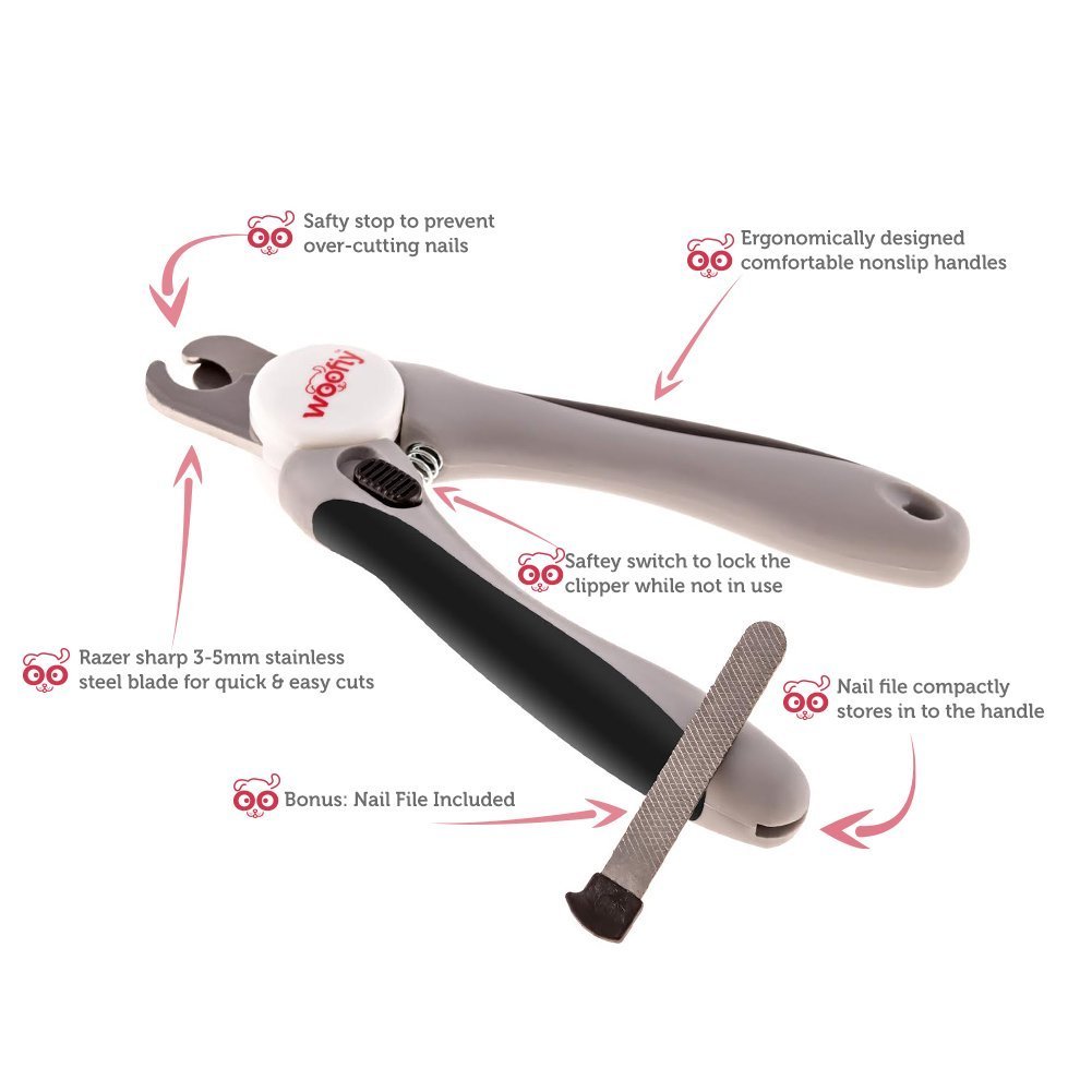 Top 5 Best Dog Nail Clippers