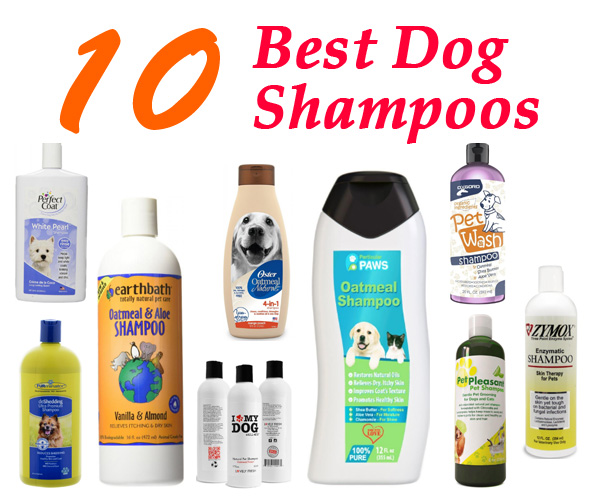 what is the best puppy shampoo to use