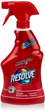 Top 10 Best Carpet Cleaners