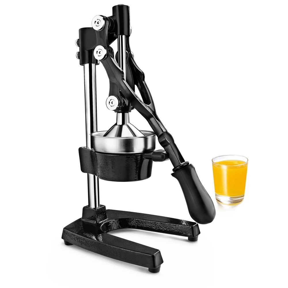 Top 10 Best Juicers