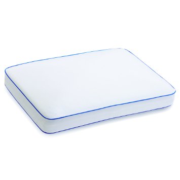 Top 10 Best Memory Foam Pillows Top 10 Best Memory Foam Pillows