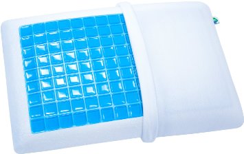 Top 10 Best Memory Foam Pillows Top 10 Best Memory Foam Pillows
