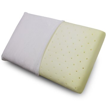 Top 10 Best Memory Foam Pillows Top 10 Best Memory Foam Pillows