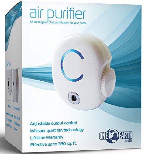 Best Air Ionizers