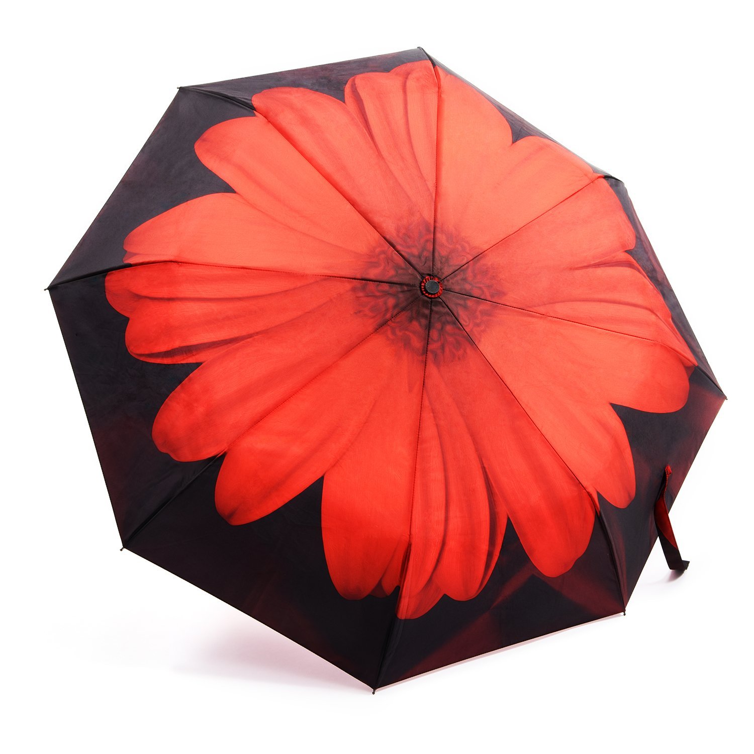 Best Umbrellas - Top Rated Umbrellas