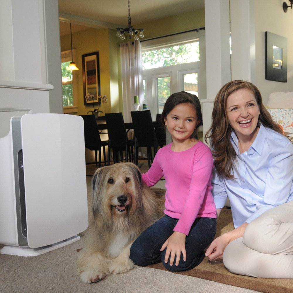 Top 10 Best Air Purifiers That Actually Work - Air Purifiers Reviews