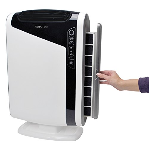 Top 10 Best Air Purifiers That Actually Work - Air Purifiers Reviews
