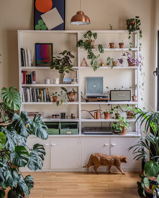 8 Hacks to Make Your Home Cozier