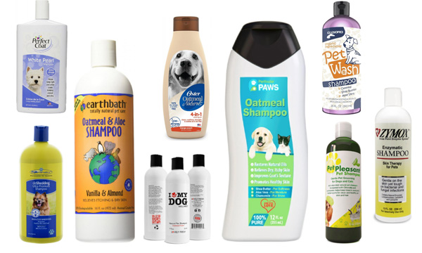 Best Dog Shampoos best shampoos for pets Top Rated 10 Best Dog Shampoos 2022 - Best Pet Shampoos Reviews