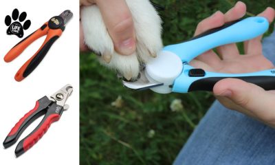 Best Dog Nail Clippers Reviews of Dog Nail Grinders Trimmers Top 10 Best Dog Nail Clippers 2023 - Pet Nail Clippers Reviews