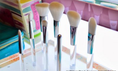 Best Skin Makeup Brushes