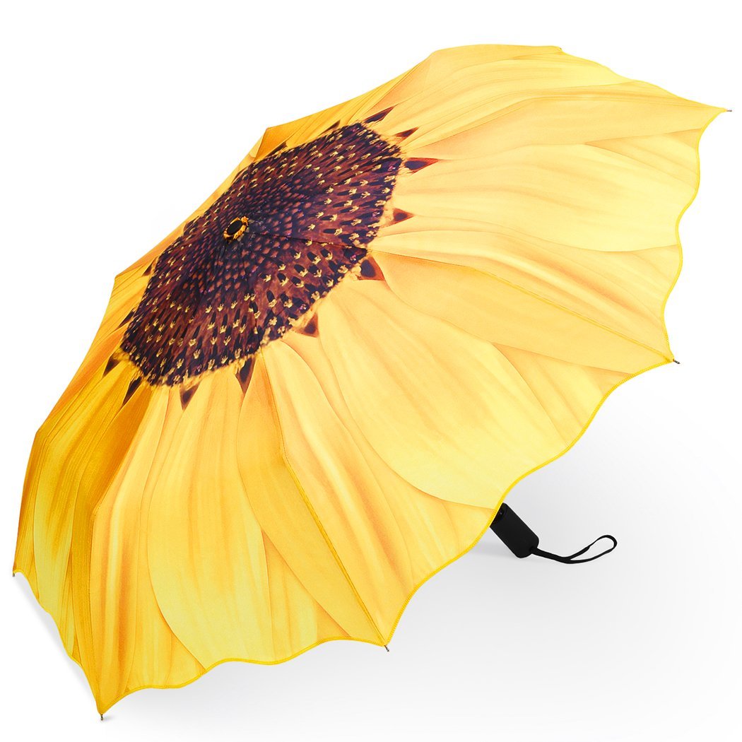 Top 10 Best Umbrellas 2024 Top Rated Umbrellas You Can Buy Her