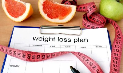 Fast Weight Loss Diet Plan Tips How to Pick a Healthy Weight Loss Diet Plan You Can Live With!