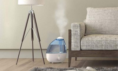 Best Humidifiers for Home
