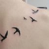best-bird-tattoos