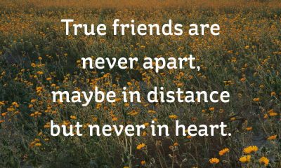 20 Short Friendship Quotes to Share With Your Best Friend - Cute ... | Friend  quotes distance, Long distance friendship quotes, Short friendship quotes
