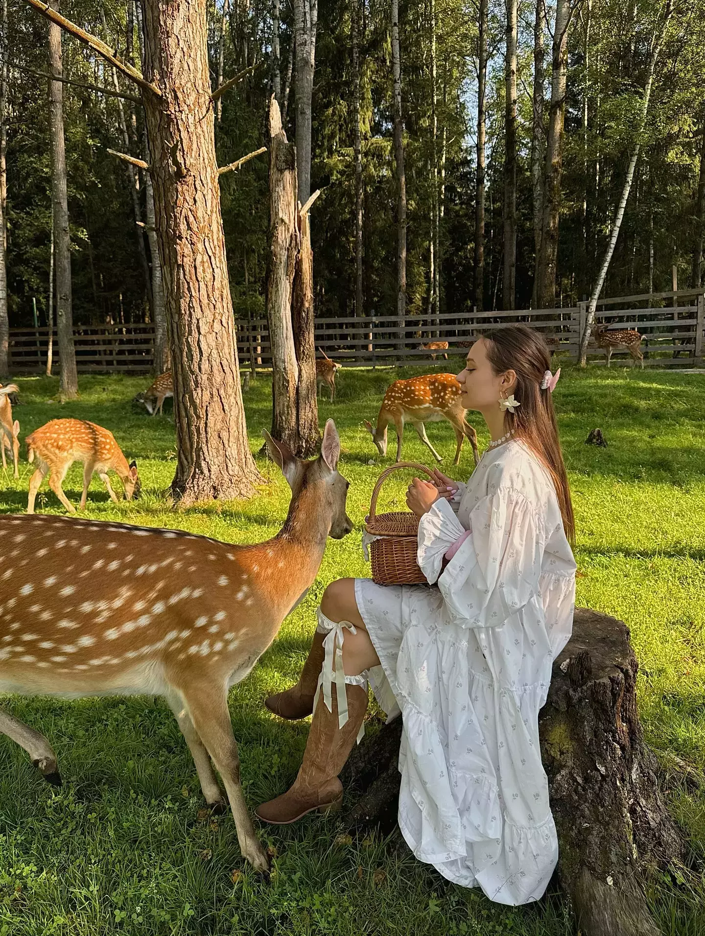 deer and Cottagecore girl