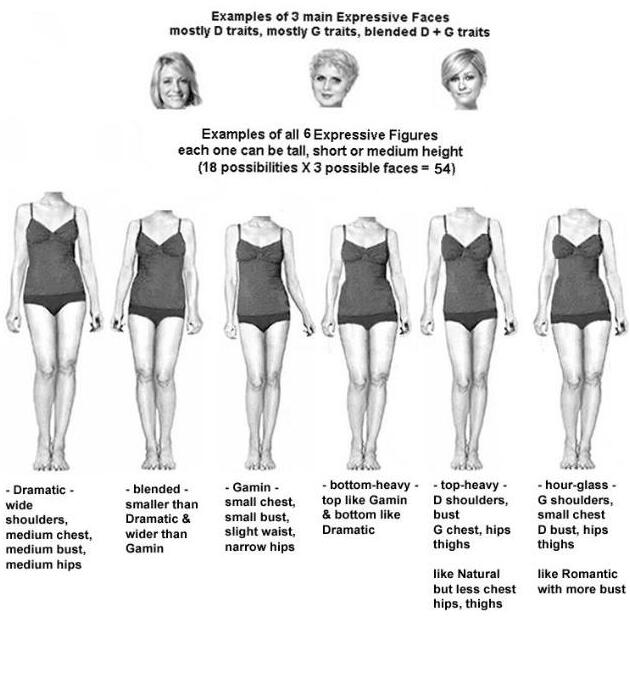 Kibbe Body Types system with images