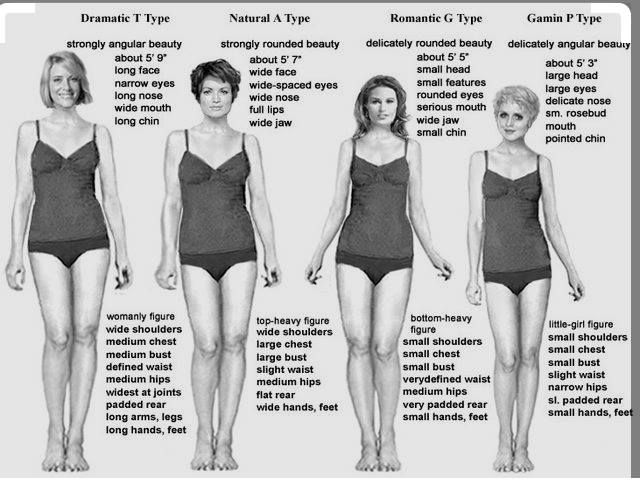 Kibbe Body Types system