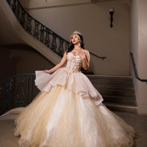 Quinceanera dress 19