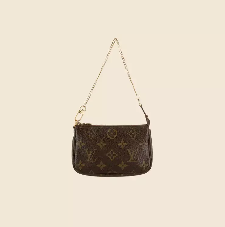 Louis Vuitton Monogram Pochette Bag