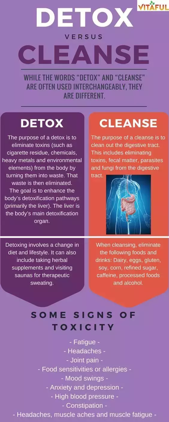 Detox vs. Cleanse - Their Differences and Benefits